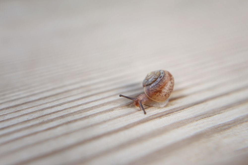 Photograph by Олеся Кучерова