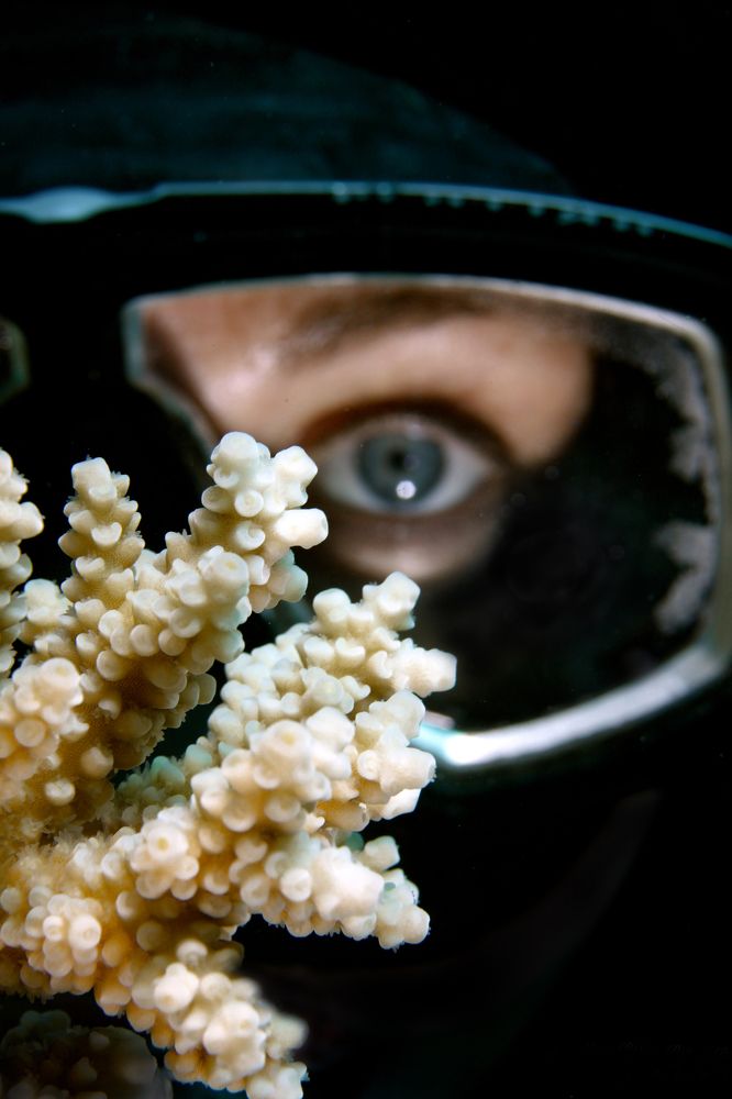 Photograph by Юрий Перевозников