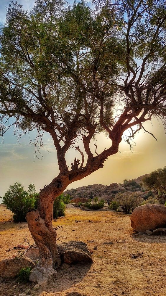 Photograph by Syed Ovais Hashmi