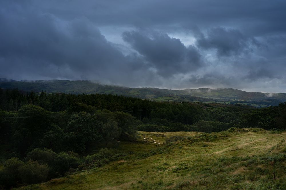 Фотография автора Hanna Zhamoida