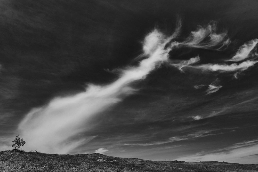 Photograph by Дмитрий Рысёв