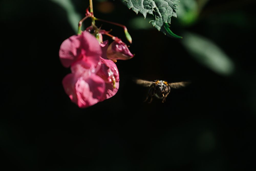 Photograph by Татьяна Степанова