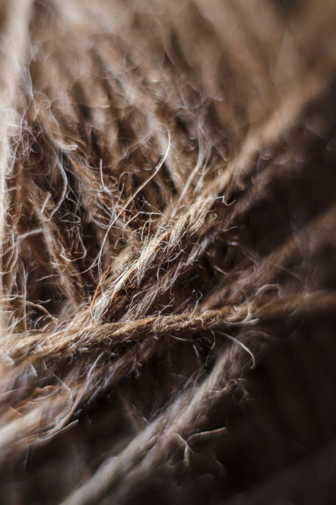 Photograph by Татьяна Степанова