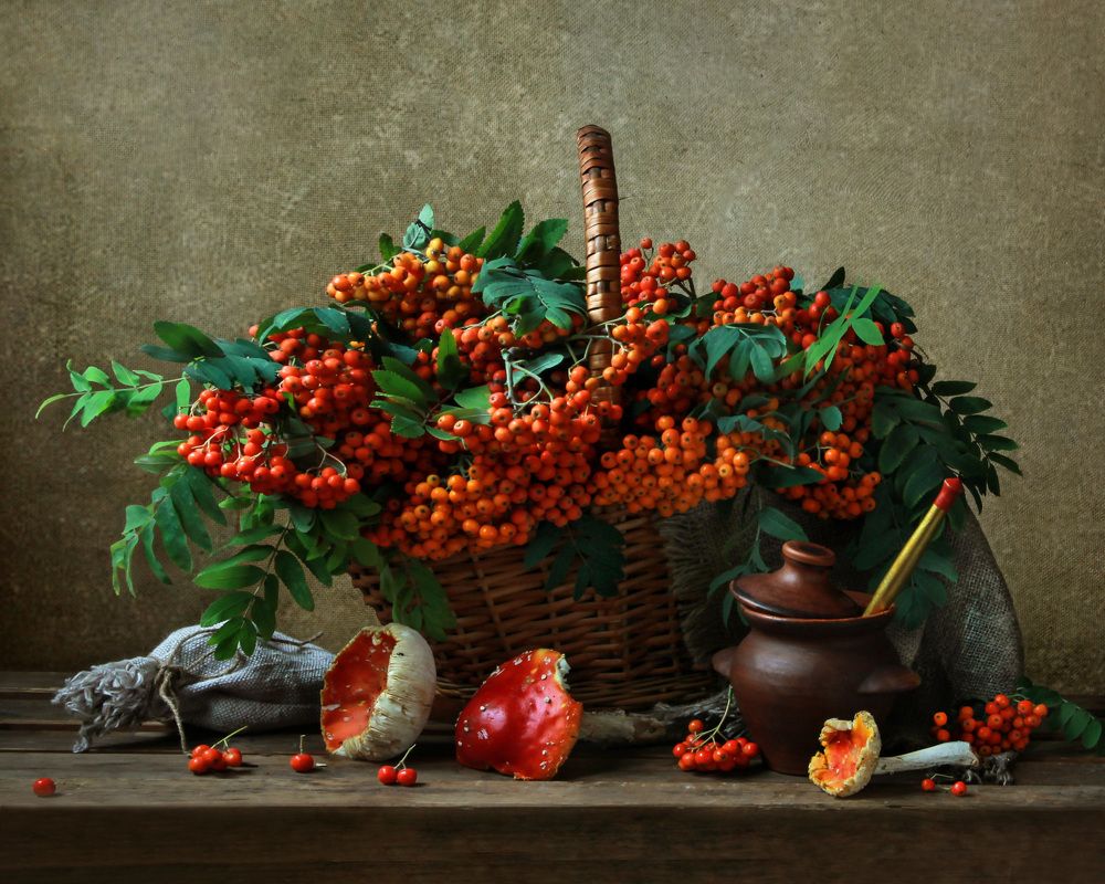 вот и осень пришла...