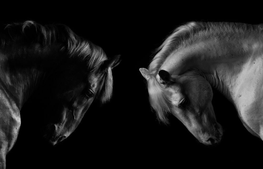 Photograph by Кристина Горковская