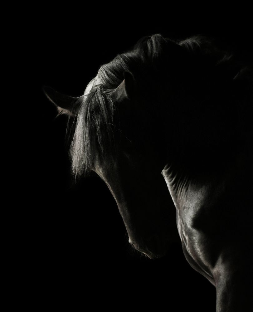 Photograph by Кристина Горковская