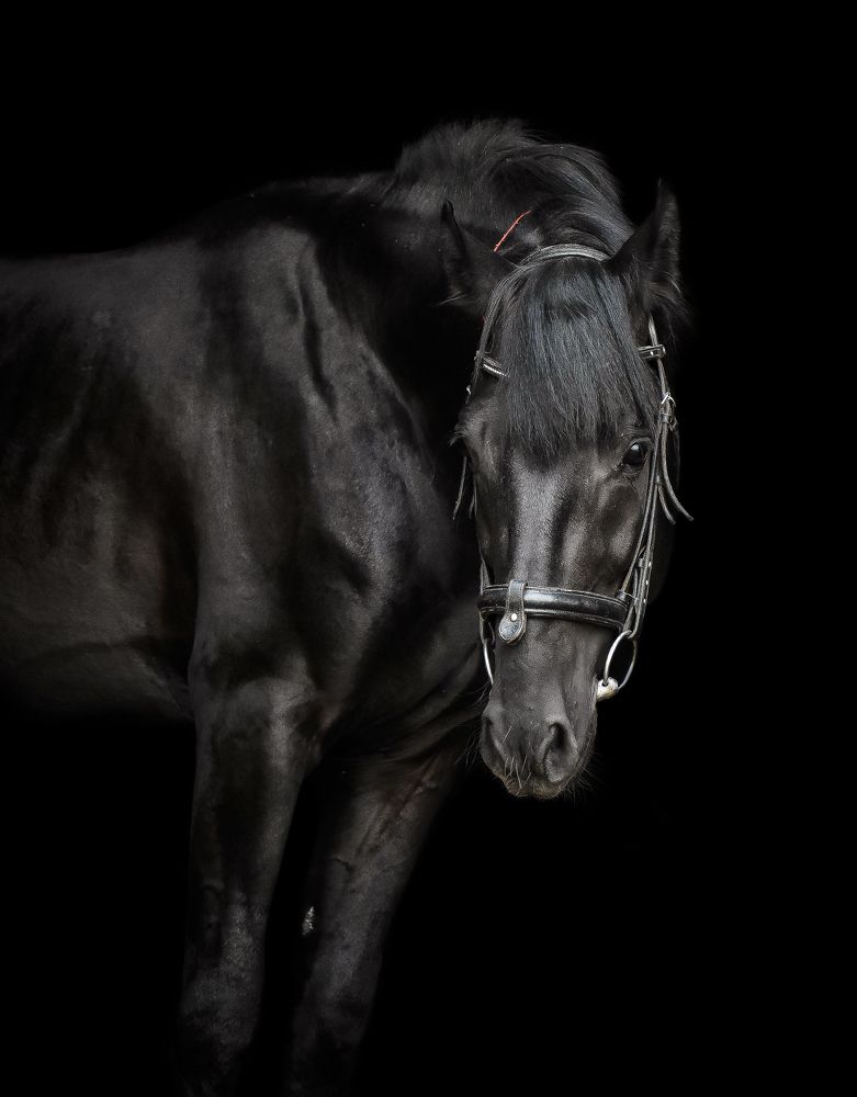 Photograph by Кристина Горковская