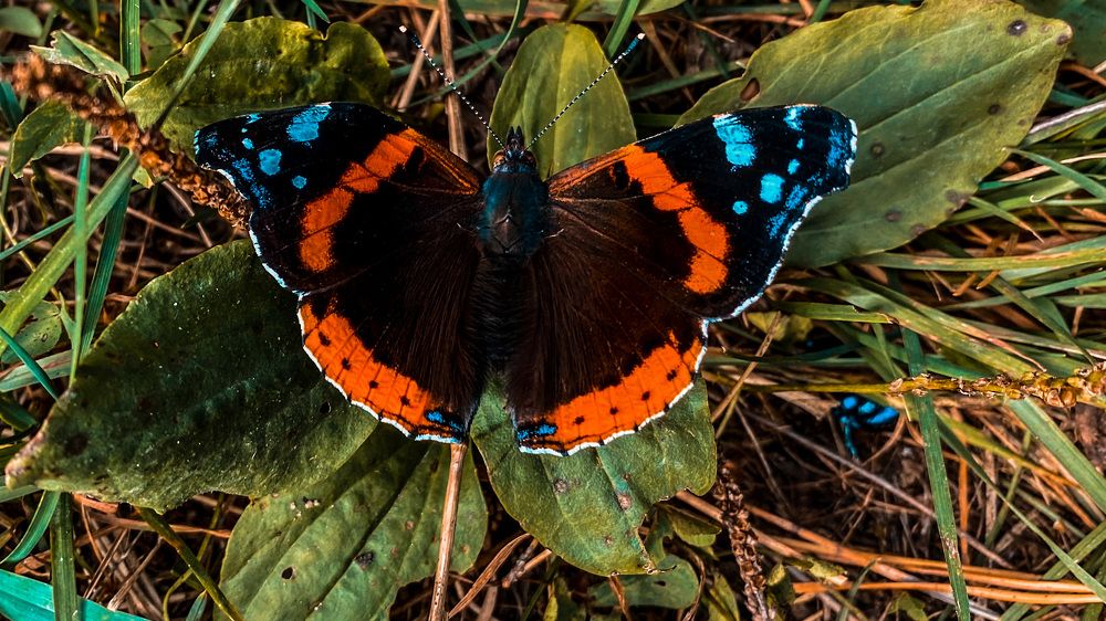 Photograph by Артём Бочкарёв