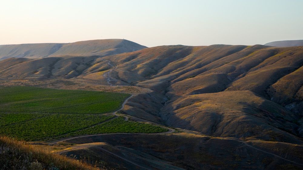 Photograph by Леонид Панасюк