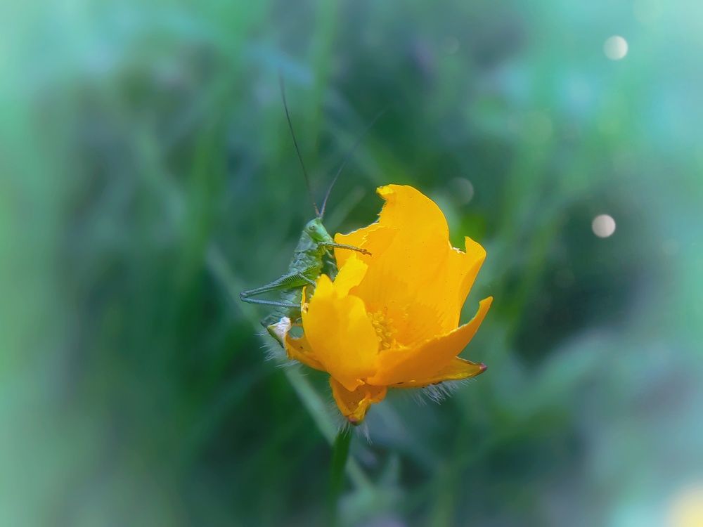 Photograph by Кристина Шляхова