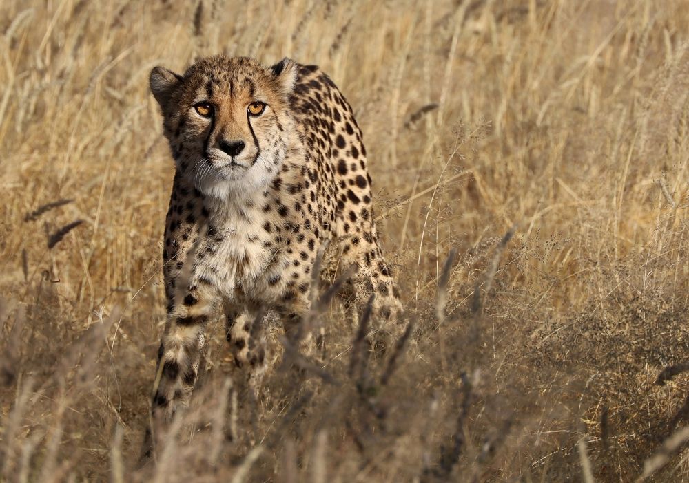 Photograph by Диана Жагрина