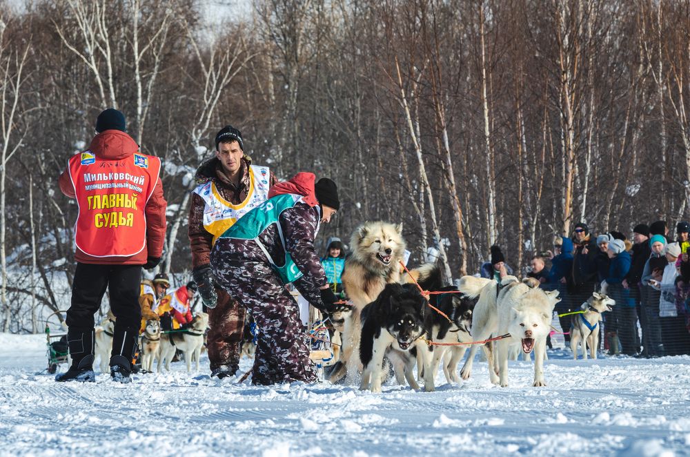 Фотография автора Жора Житников
