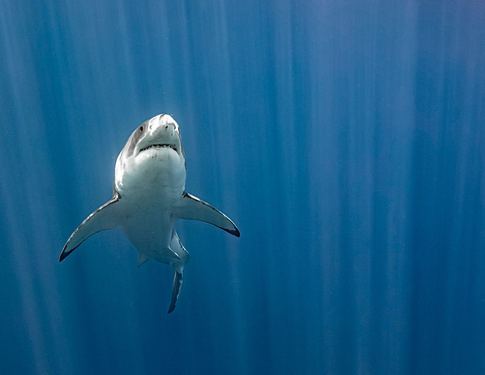 Photograph by Mizael Palomeque