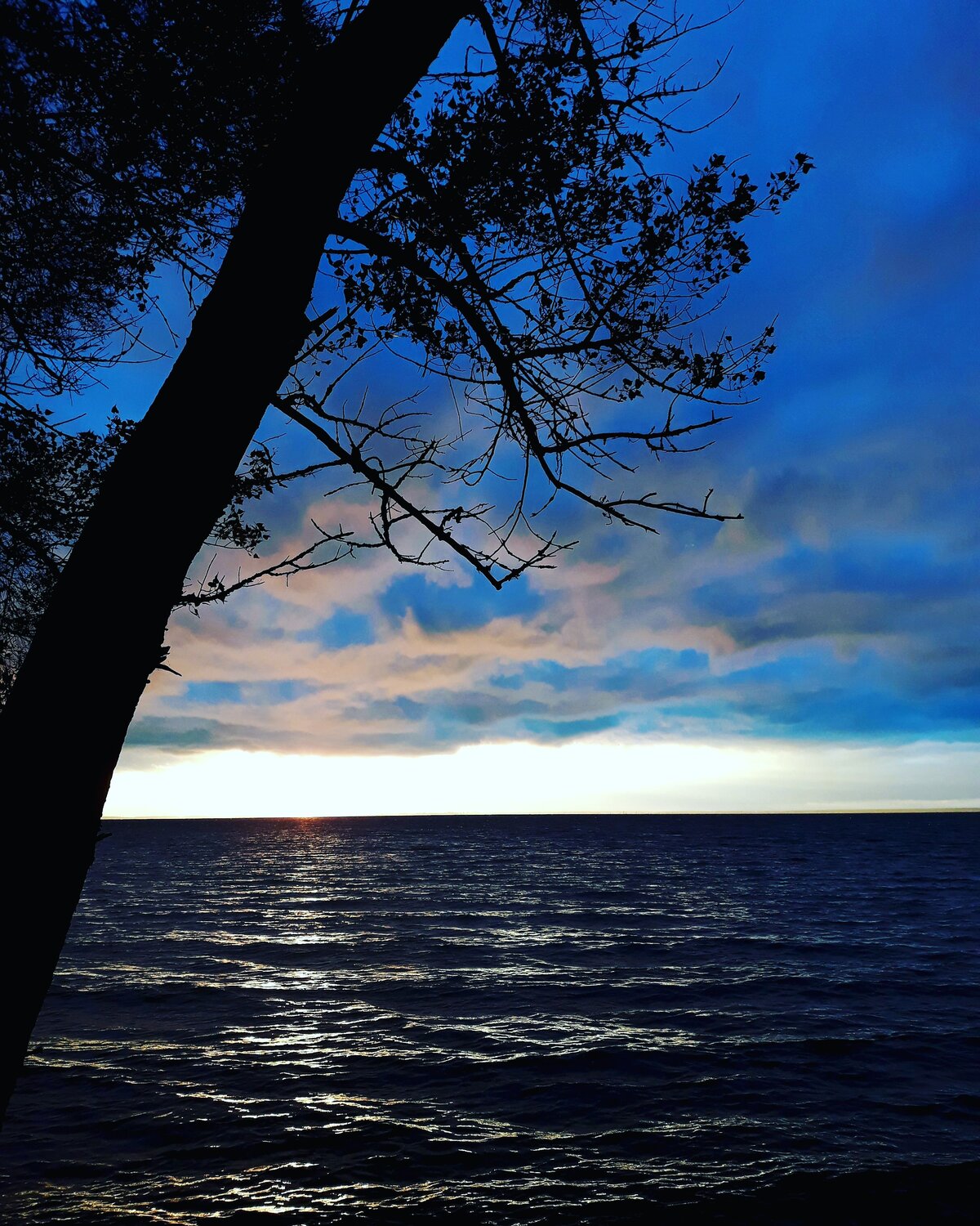 Photo #6534080