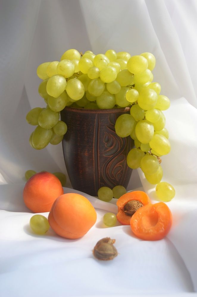 Фотография автора Евгения Илина