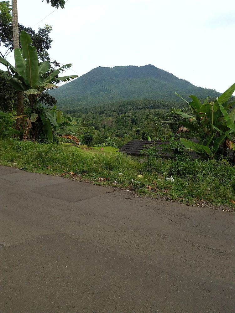 Photo #6534379