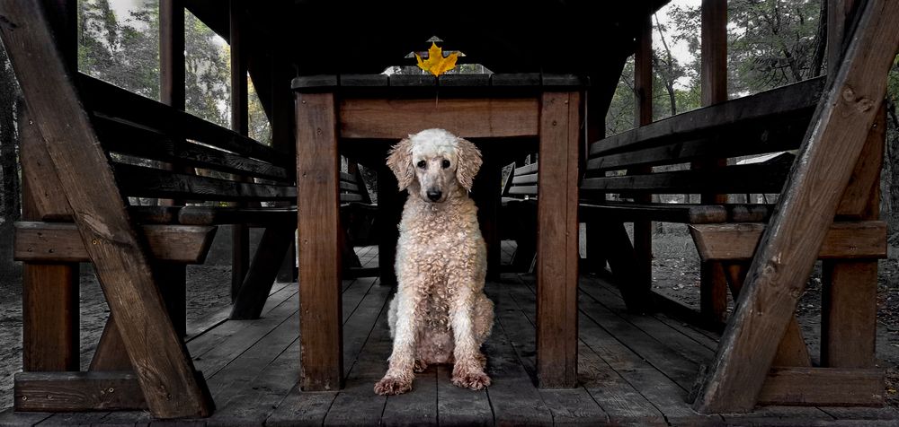 Photograph by Hanna Zapylaieva