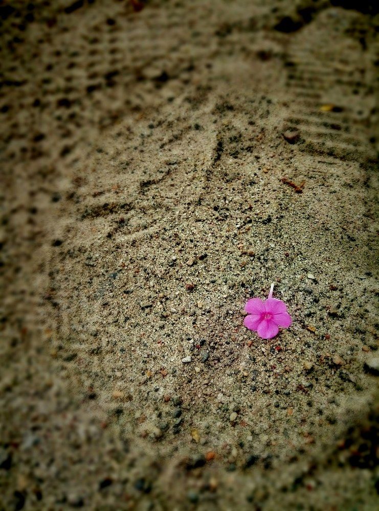 Photograph by Андрей Шахов