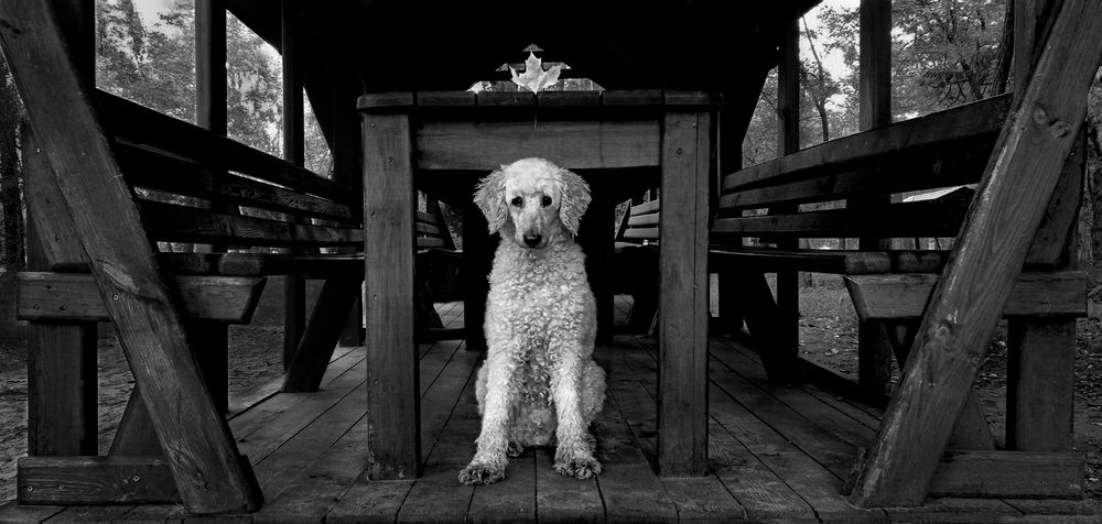 Photograph by Hanna Zapylaieva