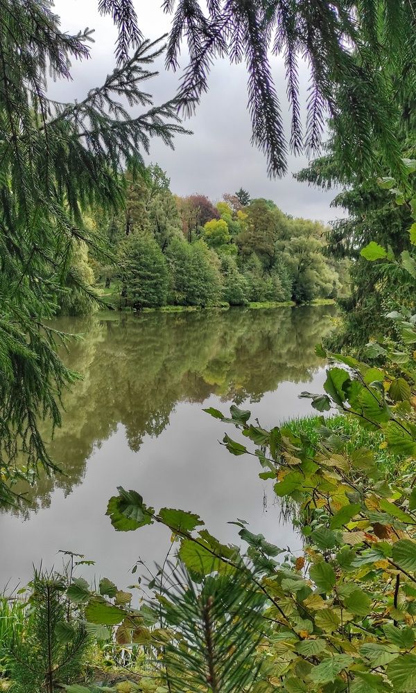 Photograph by Ирина Власенко