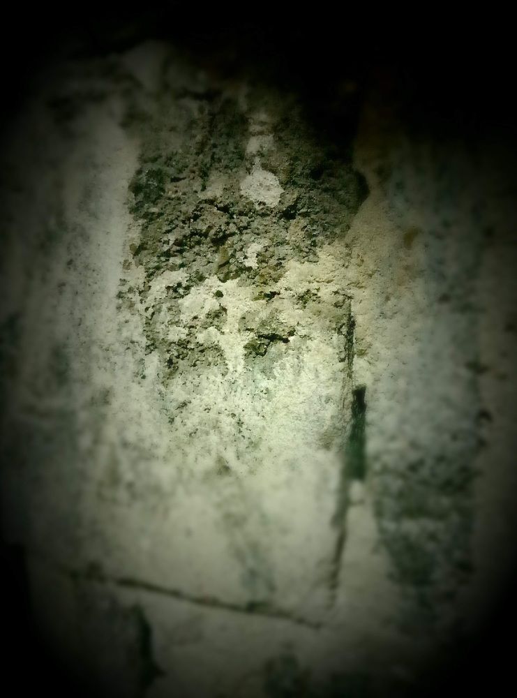 Photograph by Андрей Шахов