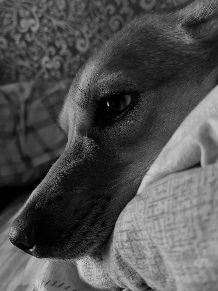 Gerda