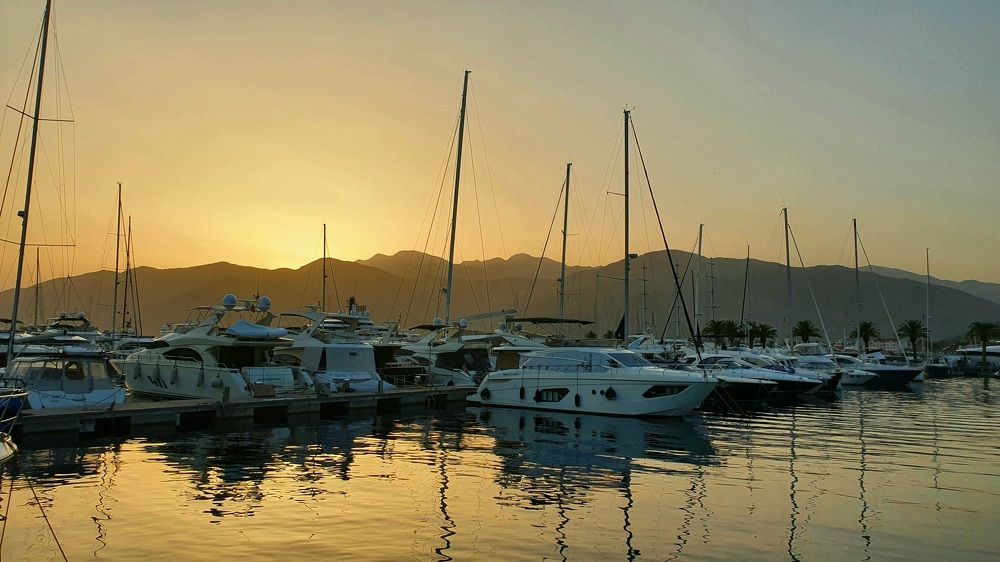 Photograph by Vira Popova