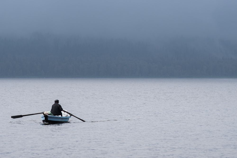 Into the fog. В туман
