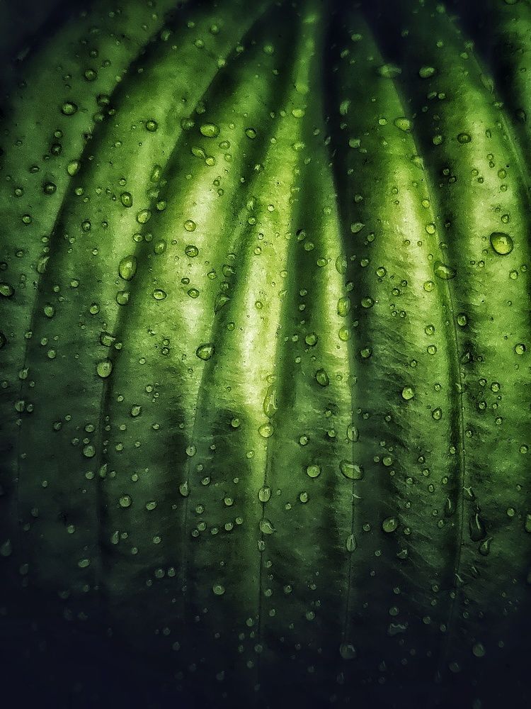 Фотография автора Ольга Игуменова