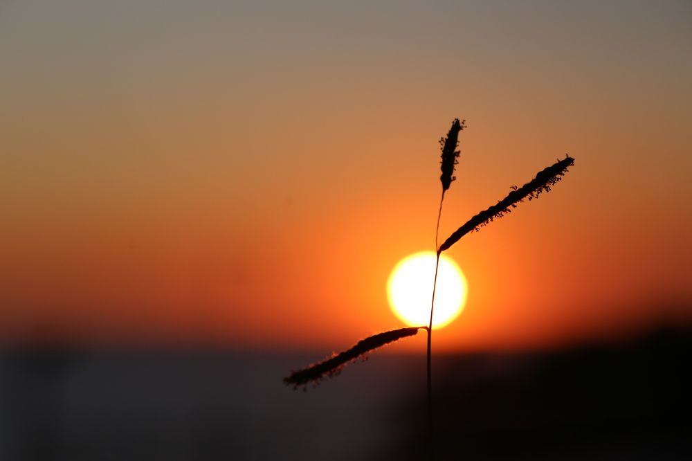 Фотография автора Maurizio Ruggiero