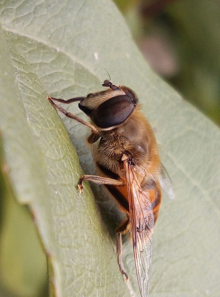 Photograph by Евгений Артемьев