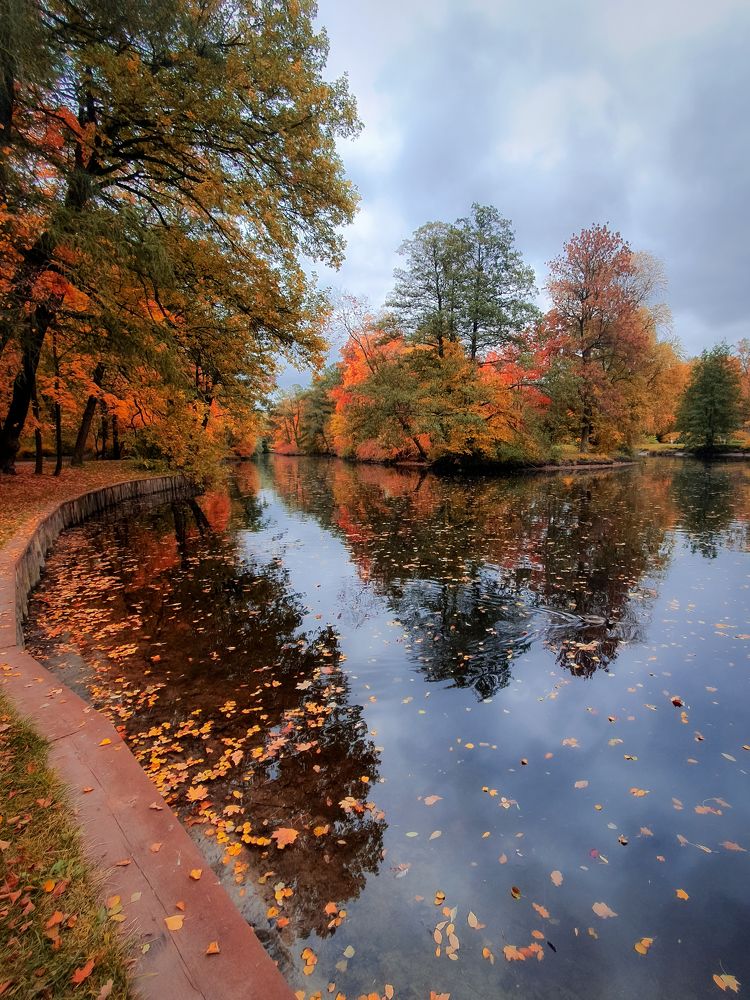 Осень - самое красочное время года.