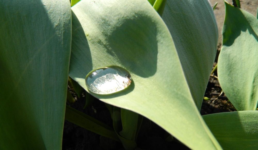 Photograph by Елизавета Мишина