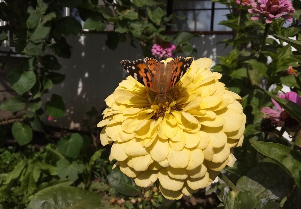 Photograph by Елизавета Мишина