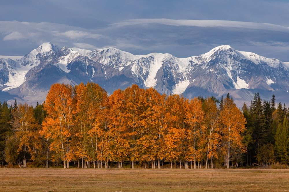 Photograph by Сергей Гук