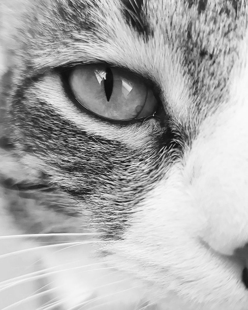 Фотография автора Татьяна Васильева