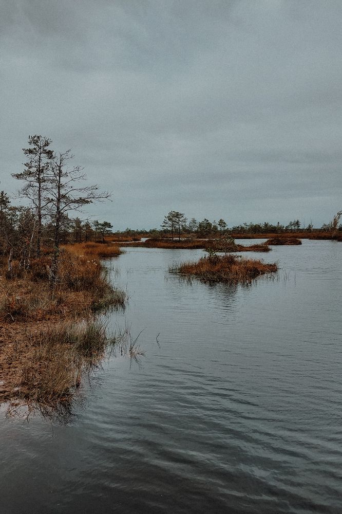 Photograph by Наталья Дегтярева