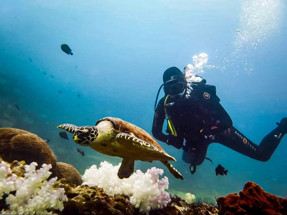 Photograph by Дина Чаица