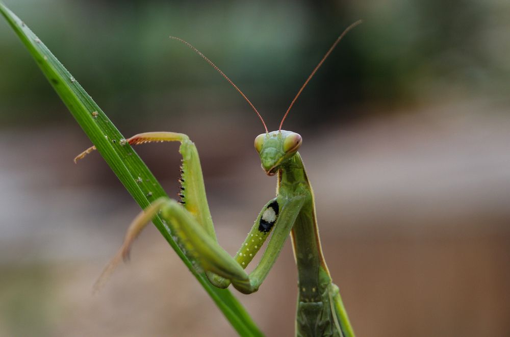 Photograph by Наталья Рябоконенко