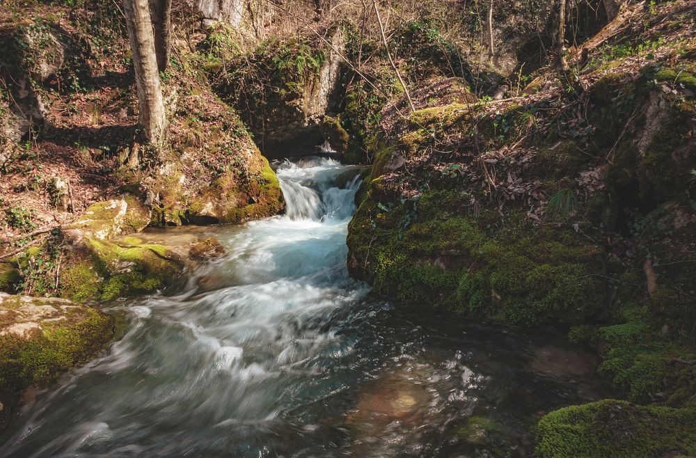 Photograph by Яна Иньская