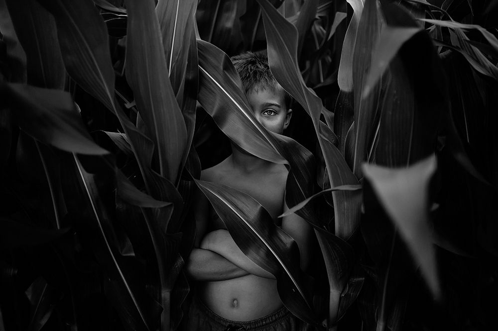 Knee On the Fourth of July