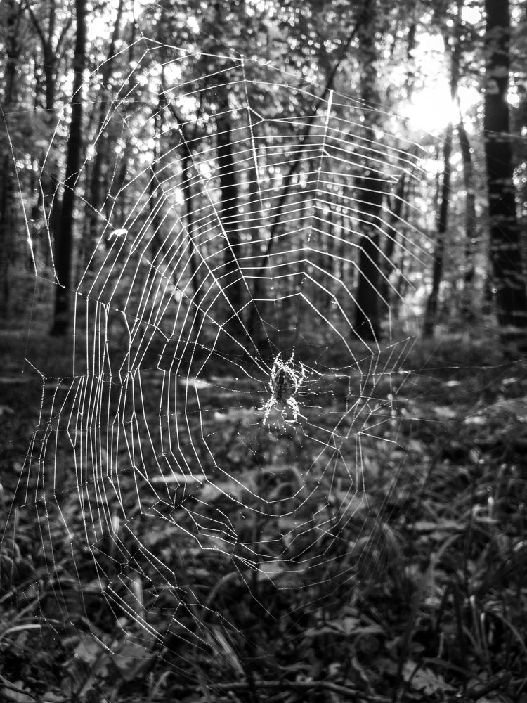 Photograph by Владислав Громов