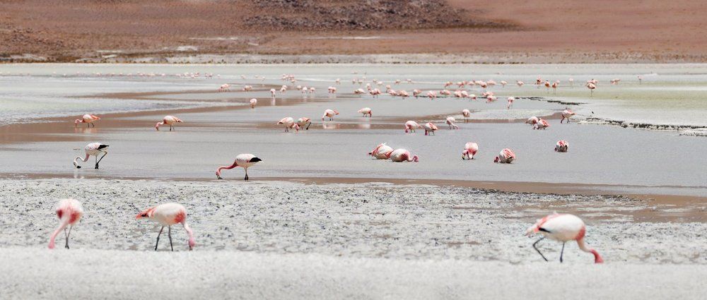 Photograph by Валерий Кочергин