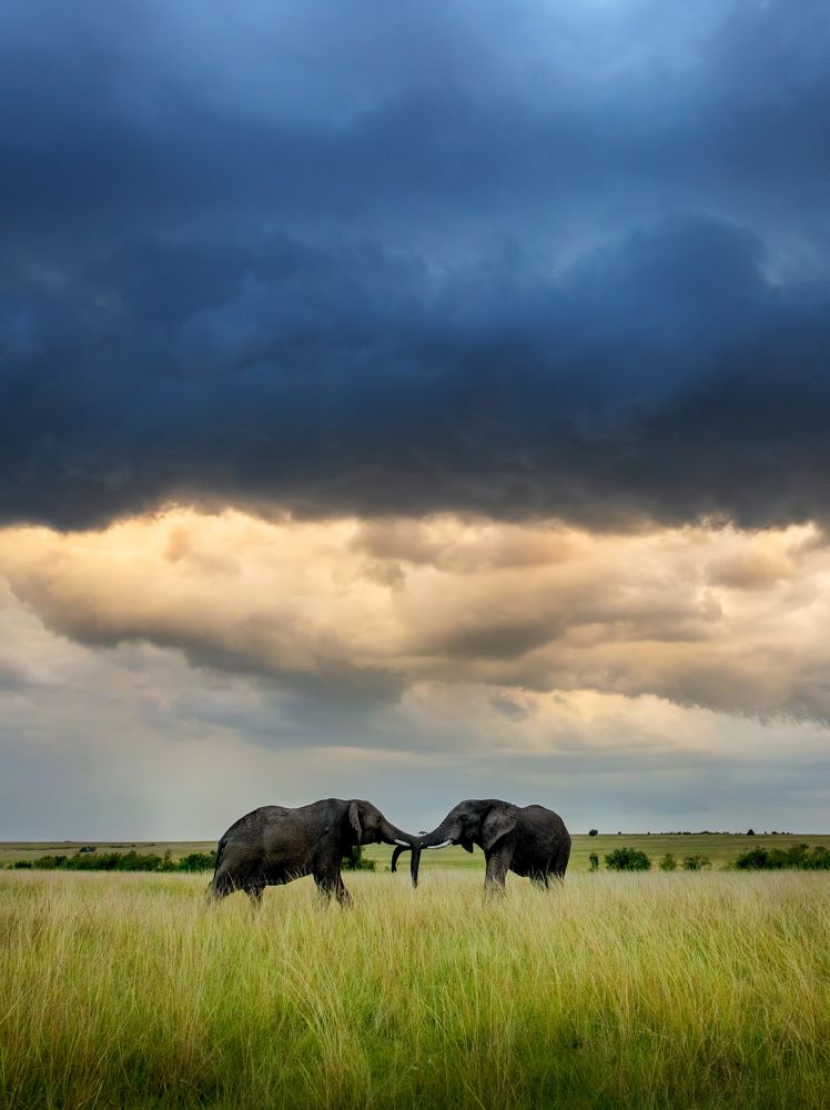 Фотография автора Vishnu Gopal