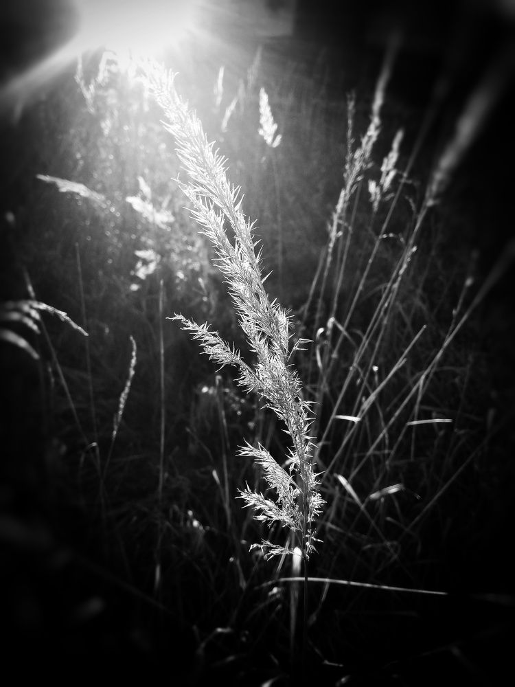 Фотография автора Виктор Конев