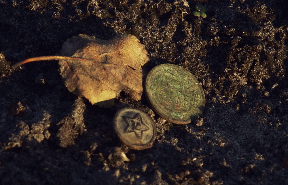 Год Быка - следующий