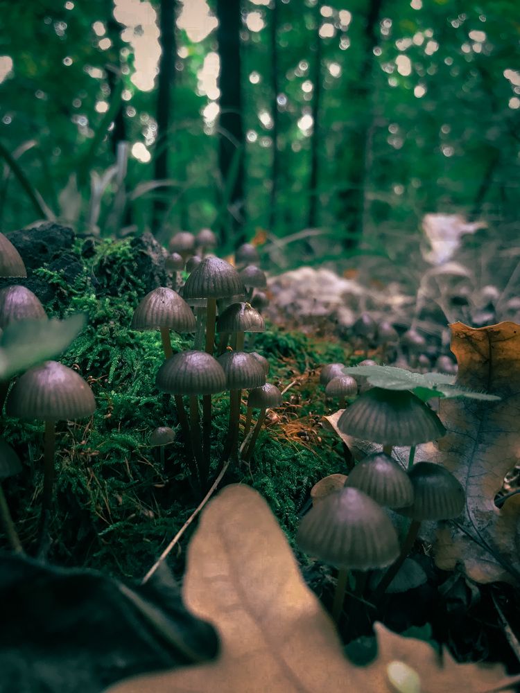 Photograph by Владислав Громов