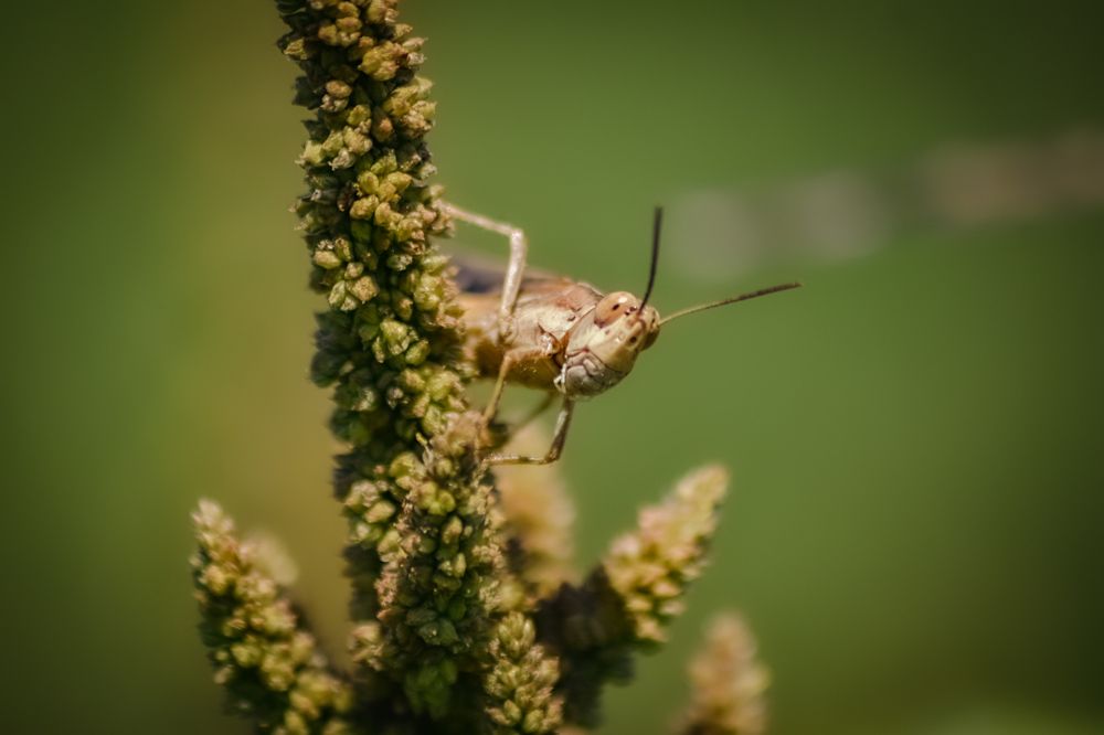 Photograph by Claudiu Alin Cota