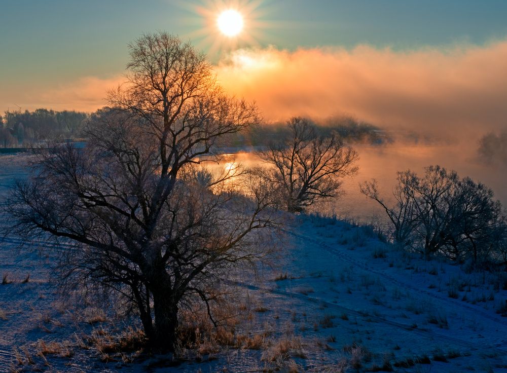 Туман над рекой