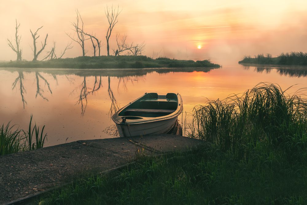 Photograph by Dariusz Budyta